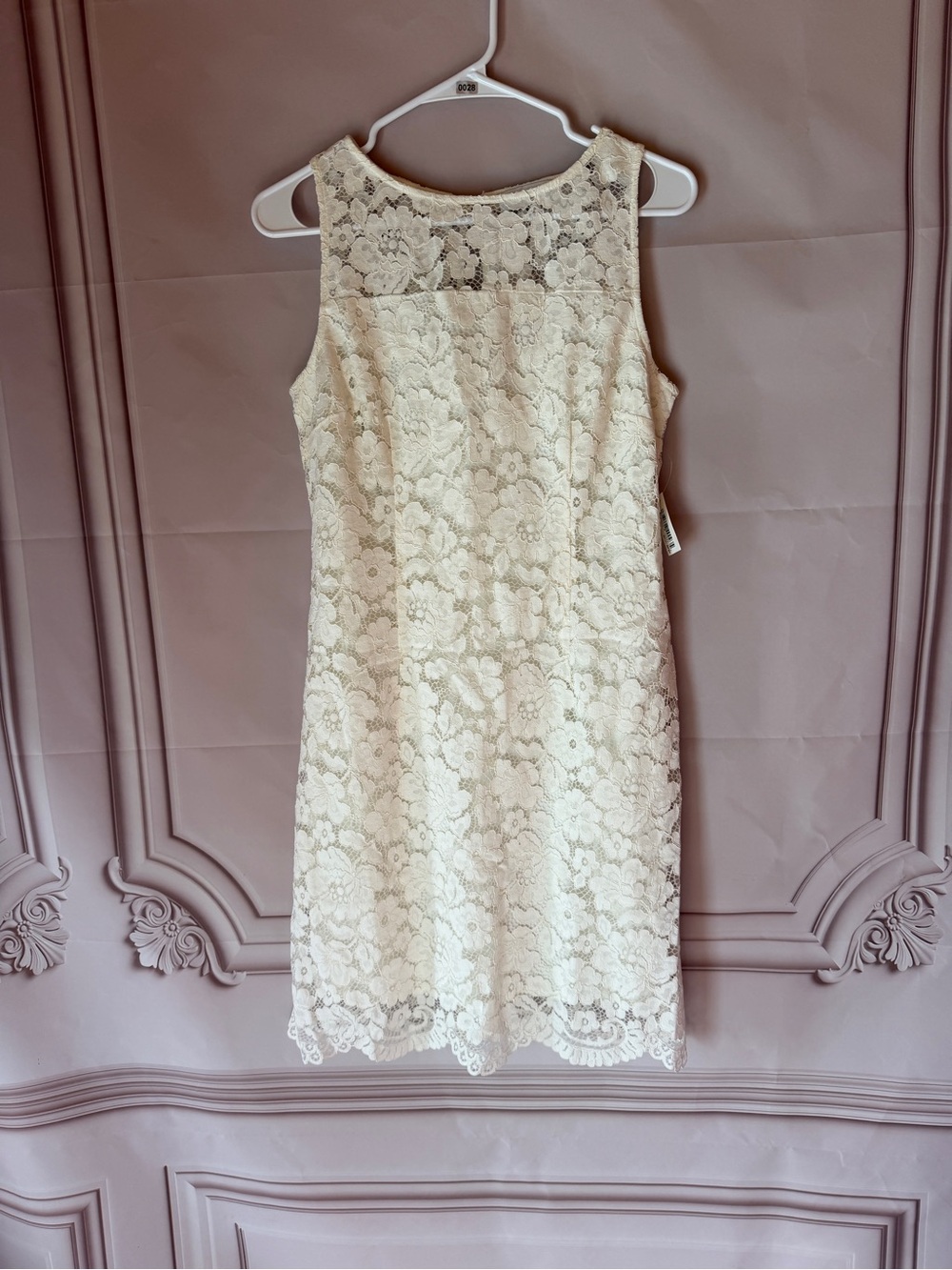 ✨ Lark & Ro Ivory White Eyelet Lace Dress  Scalloped Hem  Size 6  NWT